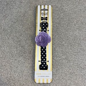 Brand New/Never Used Dog Collar